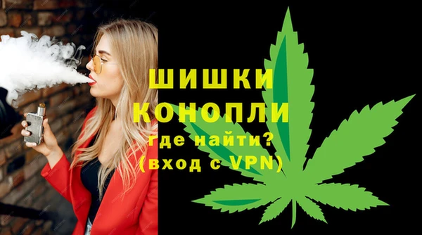 МДПВ Богородск