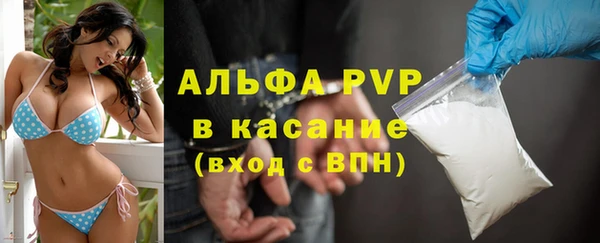 прущие крисы Богданович