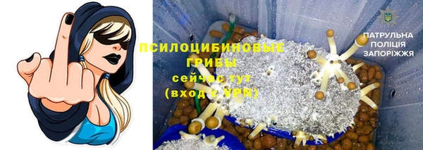 прущие крисы Богданович