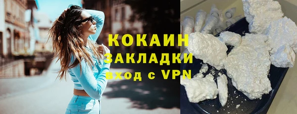 МДПВ Богородск